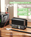 Noeifevo 14.6V 40A LiFePO4 Caricabatteria per 12V(12.8V) LiFePO4 Batteria