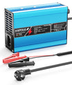 NOEIFEVO 33,6V 10A Caricabatterie al litio per batteria 29,6V 8S, spegnimento automatico, involucro in alluminio, con ventilatore