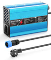 NOEIFEVO 16.8V 10A Caricabatterie al Litio per batterie Li-Ion Lipo 4S 14.8V, Ventola di raffreddamento, spegnimento automatico (BLU)