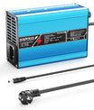 NOEIFEVO 25.2V 5A מטען ליתיום עבור סוללות Li-Ion Lipo 6S 22.2V, מאוורר קירור, כיבוי אוטומטי (כחול)
