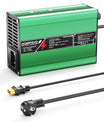 NOEIFEVO 27,6V-29,4V 5A Caricabatterie al piombo per batteria al piombo da 24V, ventola di raffreddamento, spegnimento automatico (VERDE)