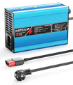 NOEIFEVO 36.5V 2A 3A 3.5A 4A  Caricabatterie LiFePO4 per batteria 10S 32V LiFePO4, spegnimento automatico (BLU)