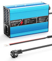 NOEIFEVO 25.2V 10A caricabatterie al litio per batterie 22.2V 6S, spegnimento automatico, custodia in alluminio, con ventilatore.